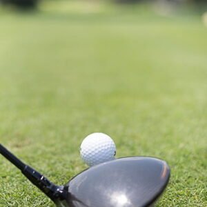 Fairway Woods